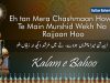 Kalam e Bahoo – Eh tan Mera Chashmaan Hove, Te Main Murshid Wekh Na Rajjaan Hoo