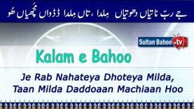 Kalam e Bahoo – Je Rab Nahateya Dhoteya Milda