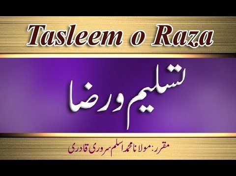 Speech: Tasleem o Raza