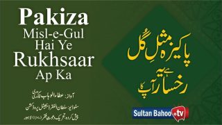 Pakiza Misl-e-Gul Hai Ye Rukhsaar Ap Ka