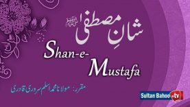  Speech | Shan e Mustafa