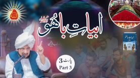 Interpretation of Abyat-e-Bahoo | Sultan-ul-Ashiqeen | Self | Urdu/English Subtitles Part 3
