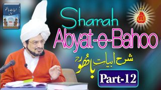 Interpretation of Abyat-e-Bahoo by Sultan-ul-Ashiqeen English Subtitles Part 12