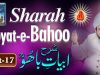 Exegesis of Kalam e Bahoo by Sultan-ul-Ashiqeen Part 17 Urdu Hindi English Subtitles