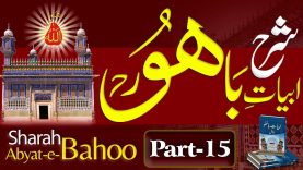 Interpretation of Abyat-e-Bahoo by Sultan-ul-Ashiqeen Part 15