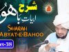 Abyat e Bahoo Part 38 | نت اساڈے کھلے کھاندی | Kalam e Bahoo | Sultan ul Ashiqeen | Urdu/Hindi
