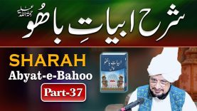 Sharah Abyat e Bahoo Kalam e bahoo by Sultan-ul-Ashiqeen Na Meen Alim Na meen Fazil Part 37